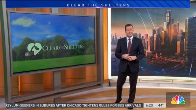 Clear the Shelters: How a pet insurance company is helping financially strapped pet parents
