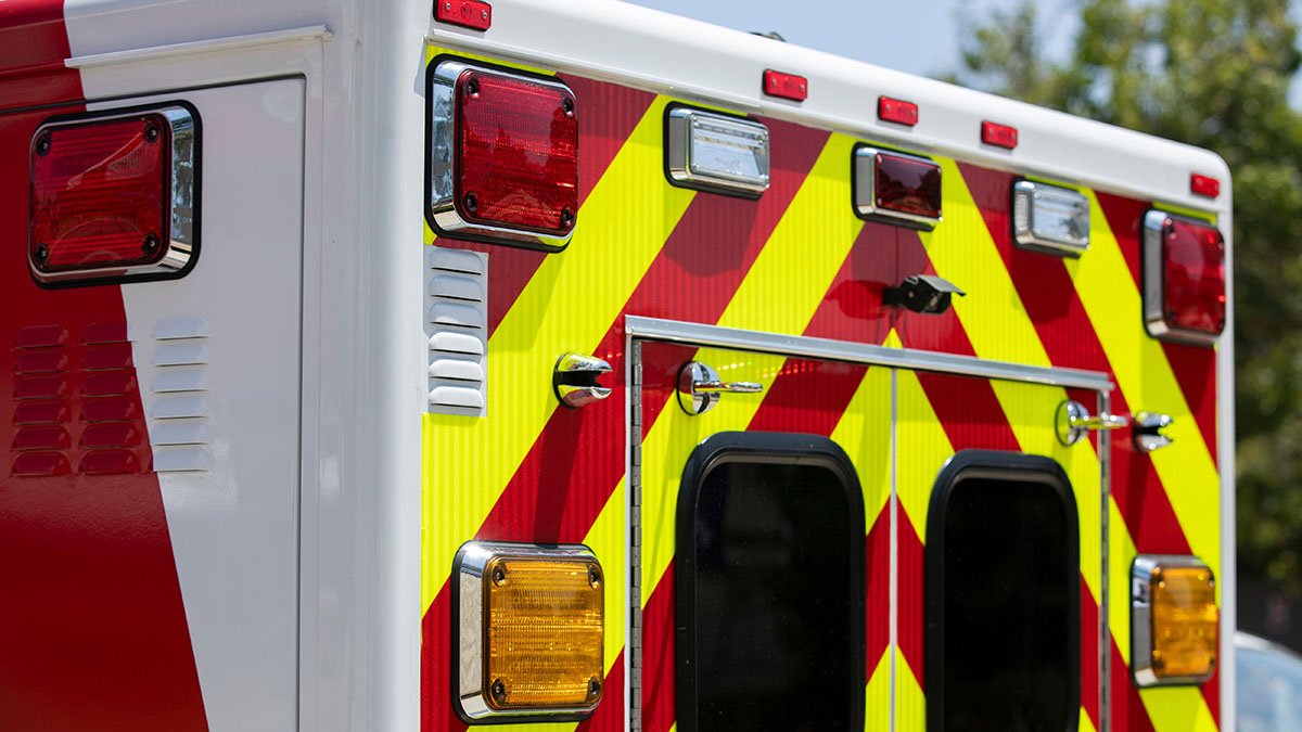 4-year-old dies from dog attack in North Central Illinois