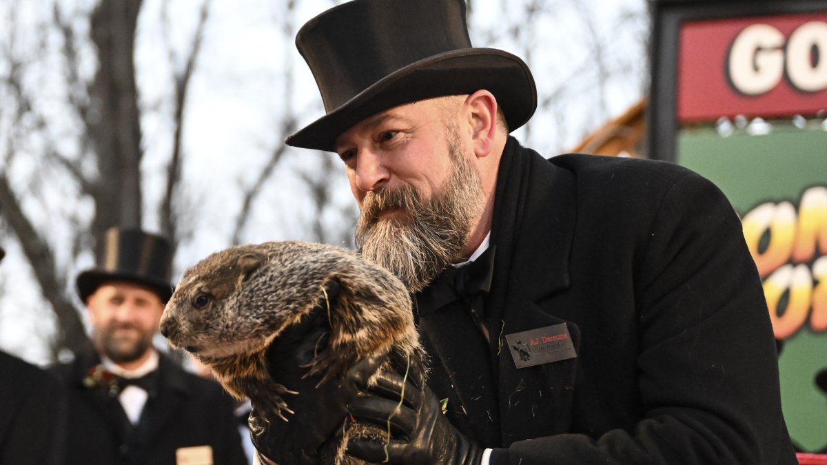 The origins of Groundhog Day, Pa.'s Punxsutawney Phil – NBC Chicago - Vimarsana News