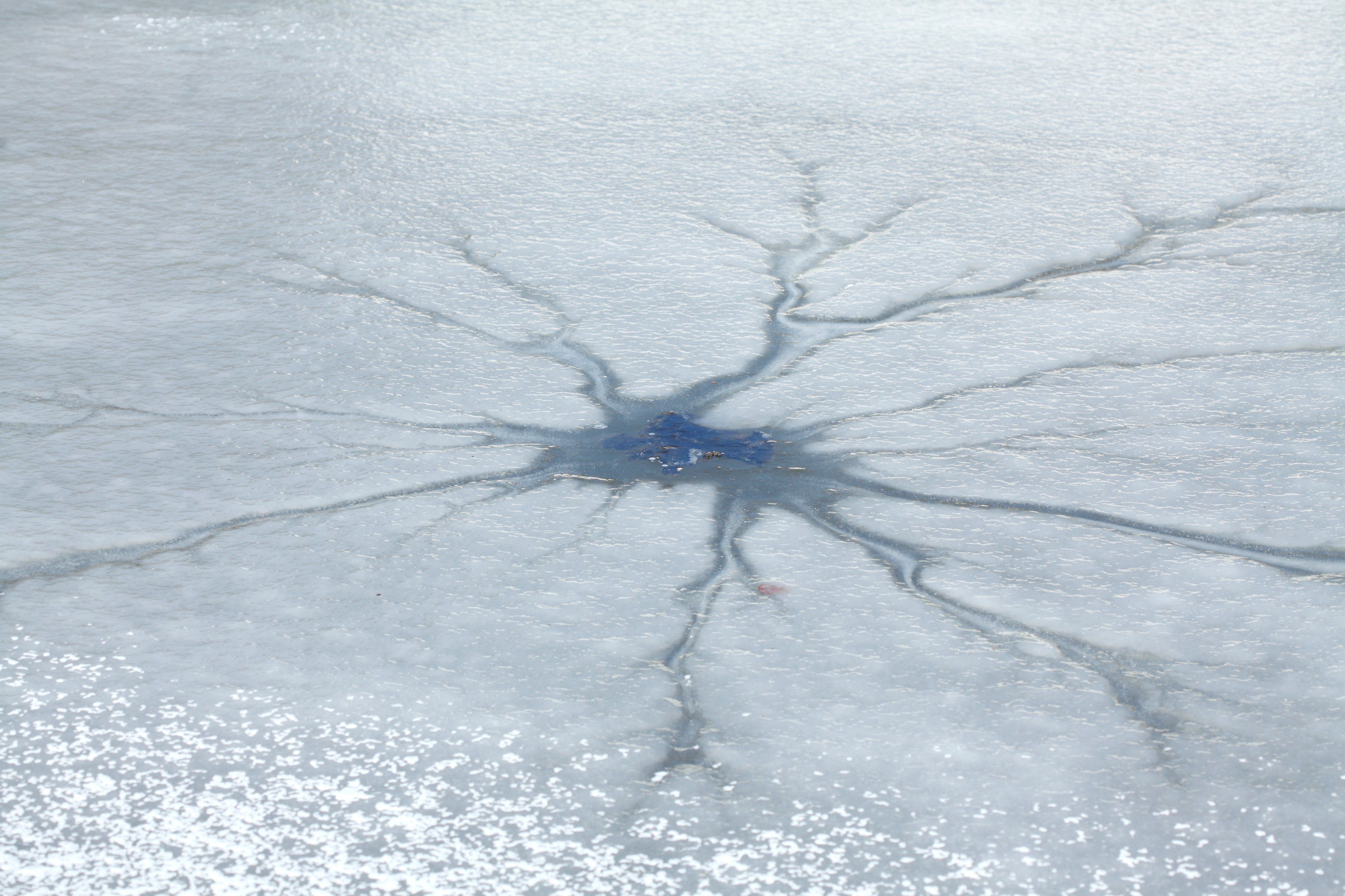 2 boys who fell through ice on a Wisconsin pond last week have died, police say - Vimarsana News