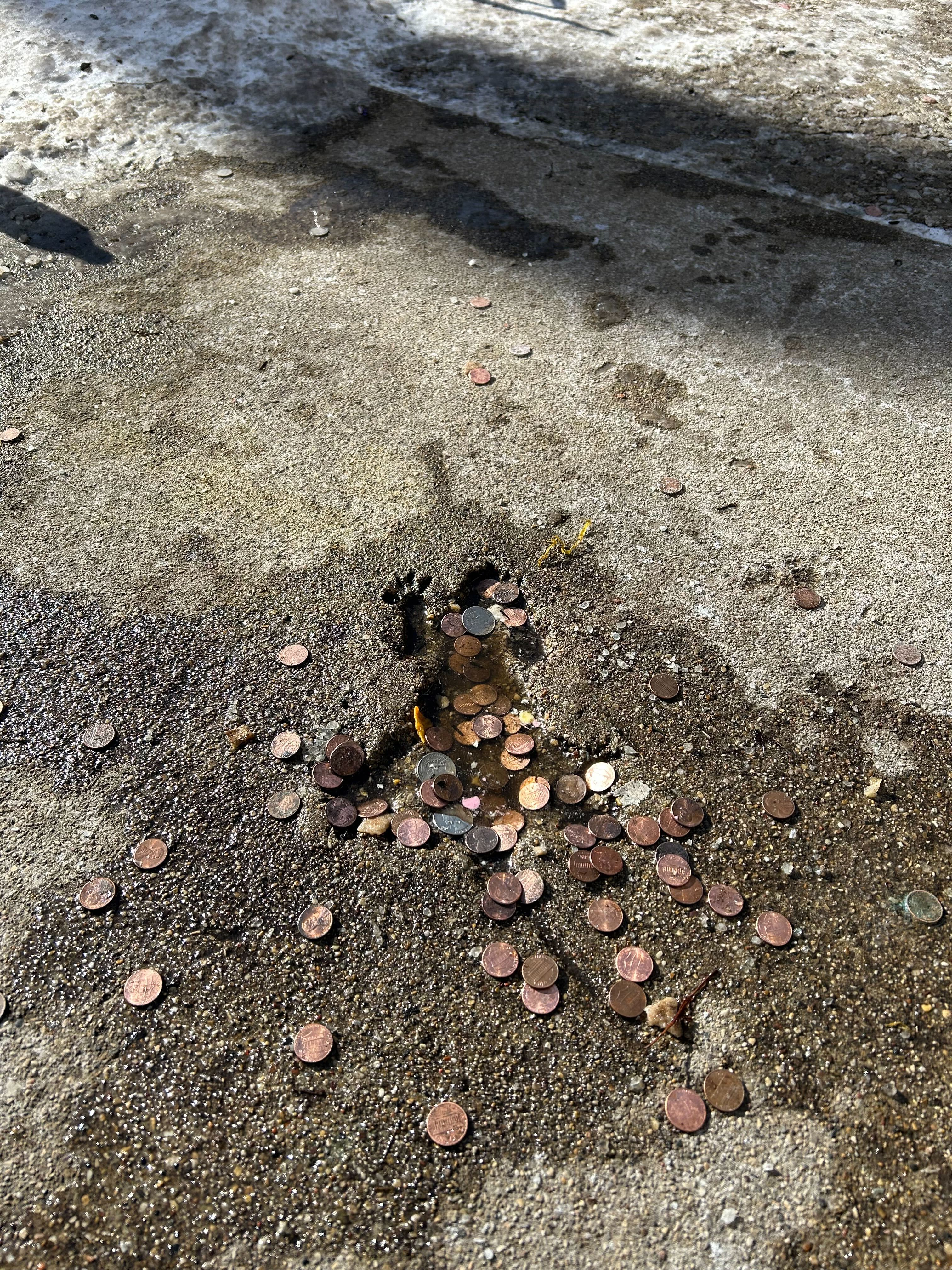 Chicago rat hole apparently filled in NBC Chicago Patabook News