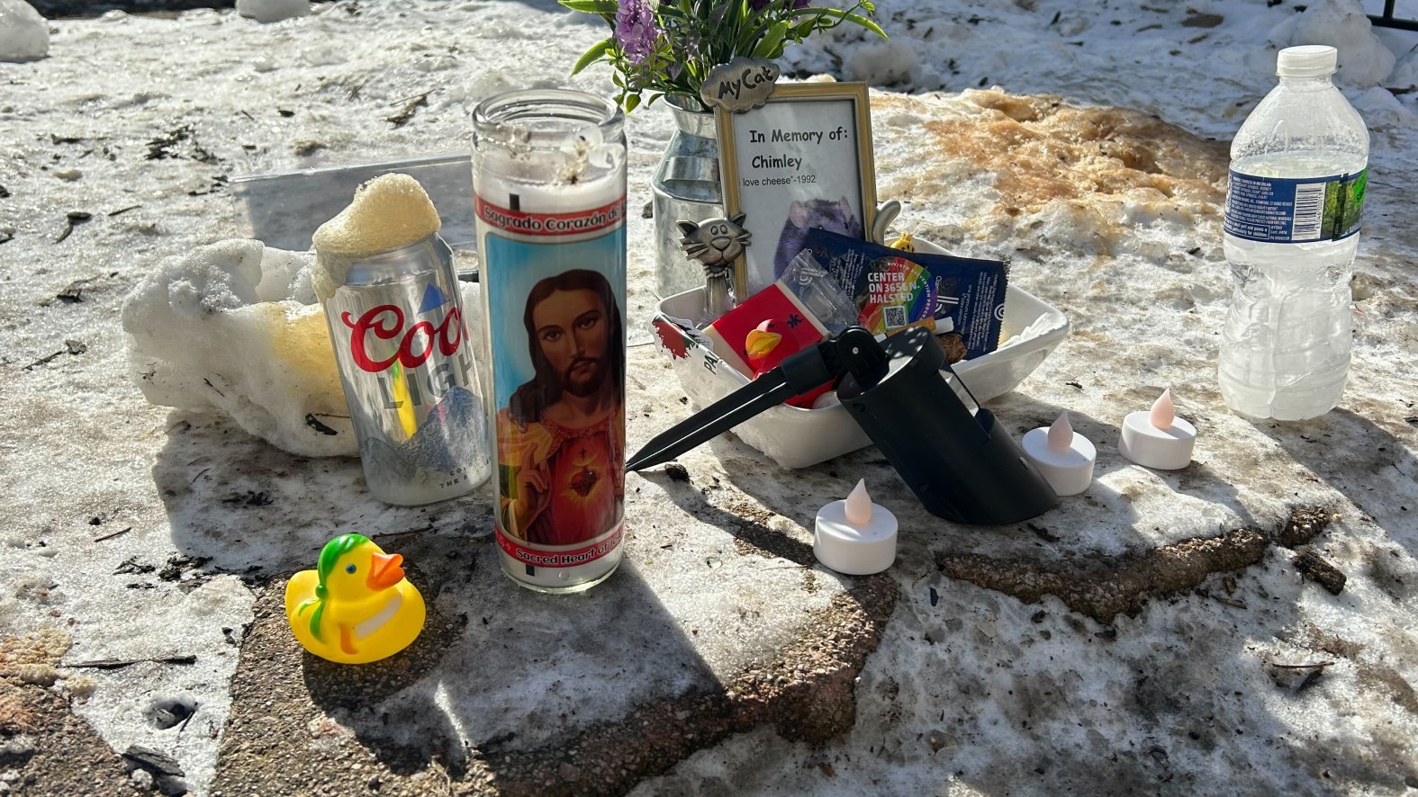 Local State Rep. responds after ‘rat hole’ on Chicago’s North Side ...