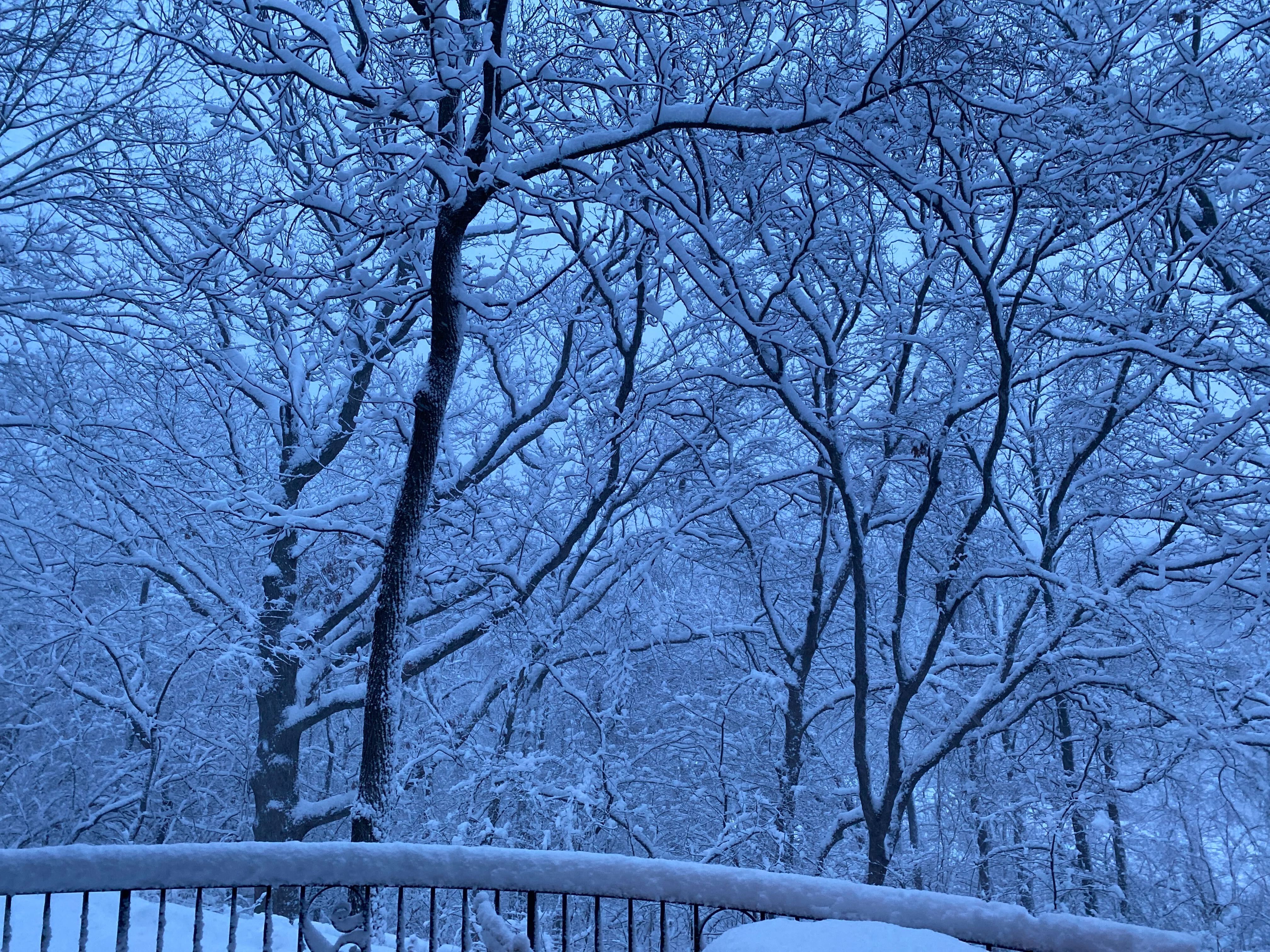 Are Chicago Public Schools closed today? Hundreds of Illinois schools closed due to weather
