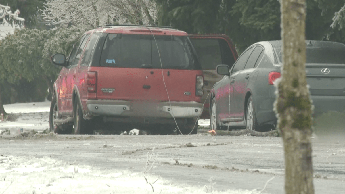 3 dead after power line falls on SUV during Portland ice storm – NBC Chicago - Vimarsana News