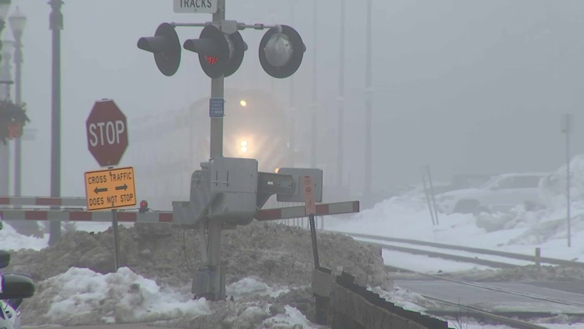 Barrington teen struck and killed by Metra train identified; officials release new details