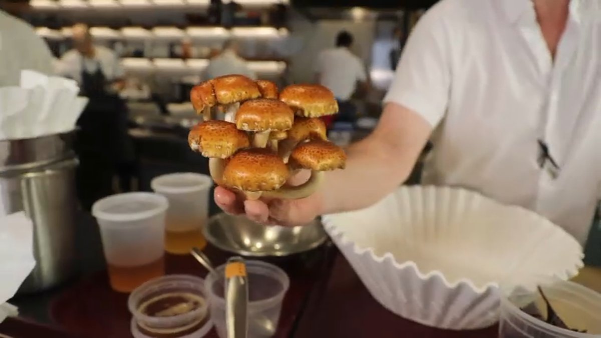 The Food Guy: Four Star Mushrooms