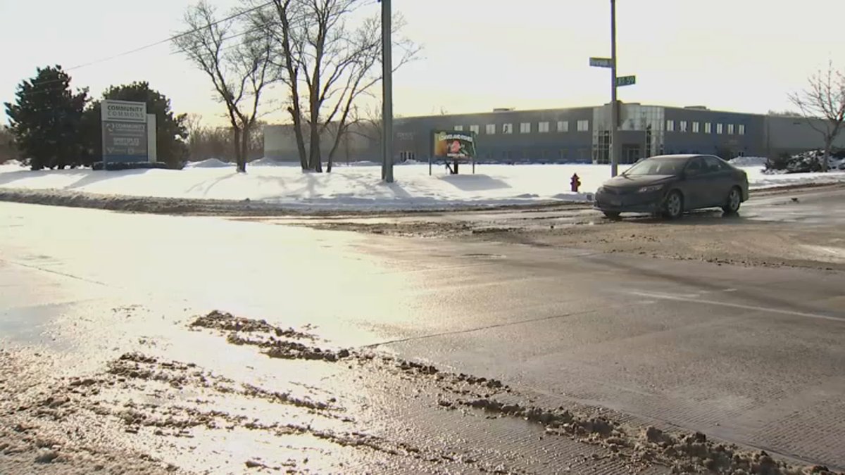 Gianna Lamb, 12, struck and killed by car in Plainfield – NBC Chicago