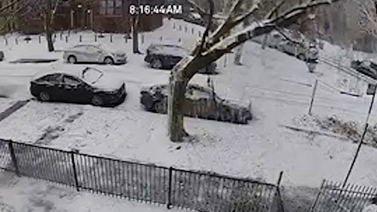 Video shows moment tree falls on woman in Ravenswood amid snow storm NBC Chicago