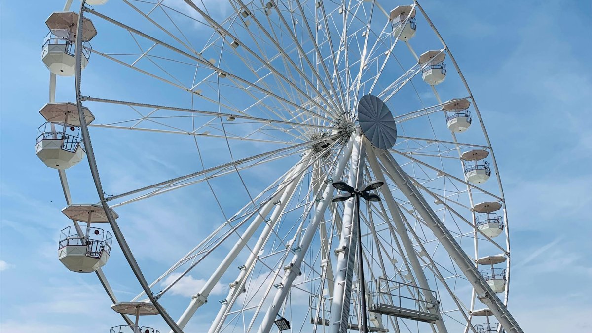 Brookfield Zoo to feature epic Ferris Wheel, new animal attractions in 2024