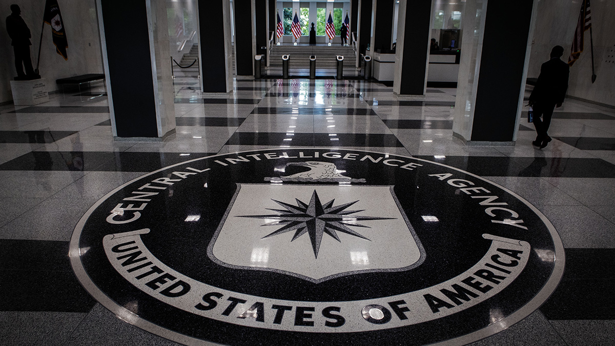 Ex-CIA Hacker Who Leaked Secrets To WikiLeaks Sentenced To 40 Years ...