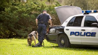 A police dog sniffs at a backpack.