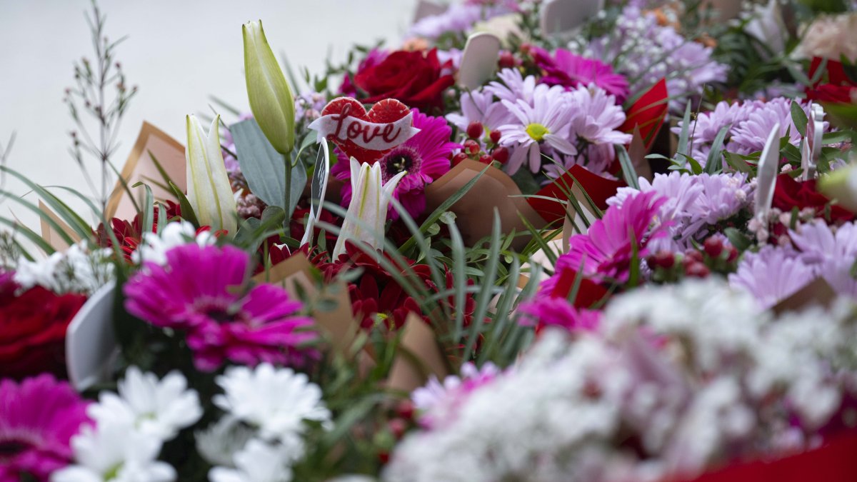 Charlotte mom gives flowers to 1,000 widows on Valentine's Day – NBC Chicago - Vimarsana News
