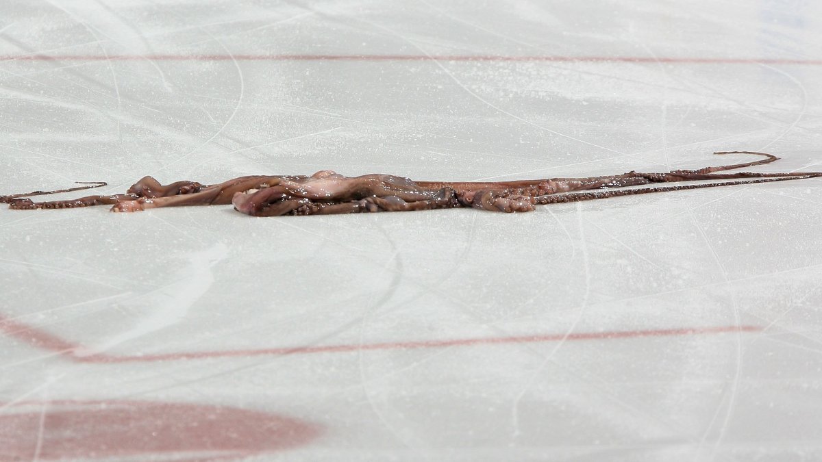 Why do Red Wings fans throw octopuses on the ice? NBC Chicago