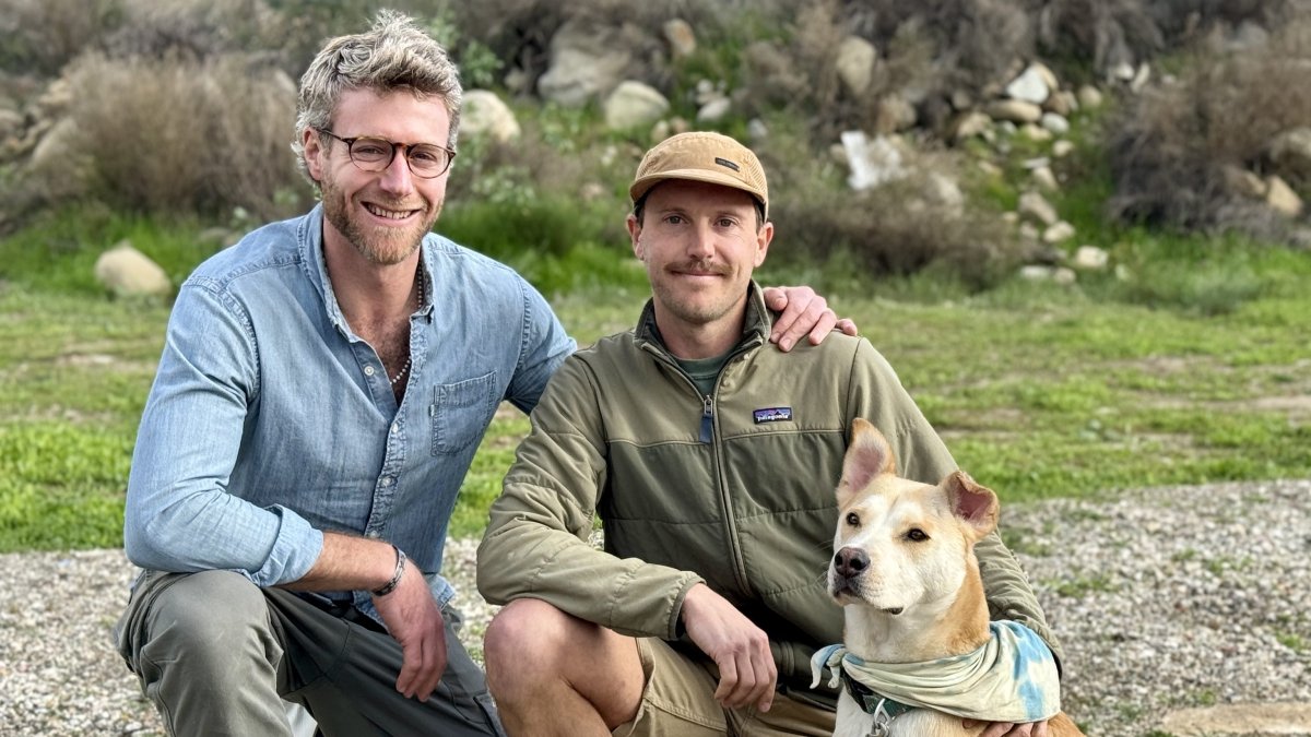 Runners save their dog from a mountain lion attack in So Cal – NBC Chicago - Vimarsana News