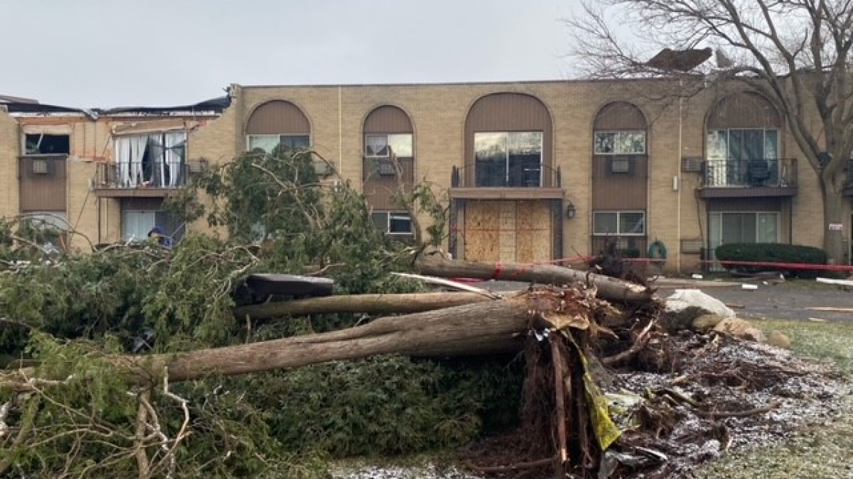 Chicagoarea storm damage Northwest suburbs see major damage following severe weather NBC Chicago