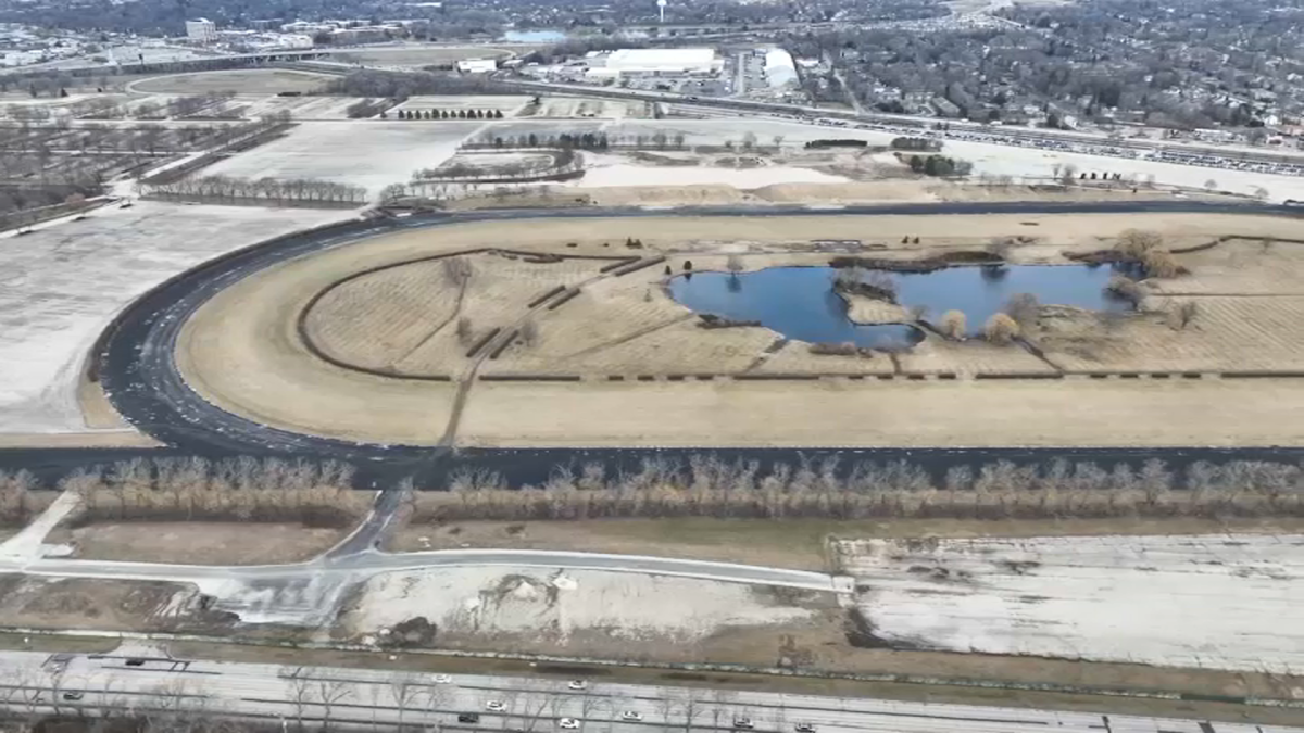 Big unknown for Arlington Heights next mayor: Will Bears build stadium?