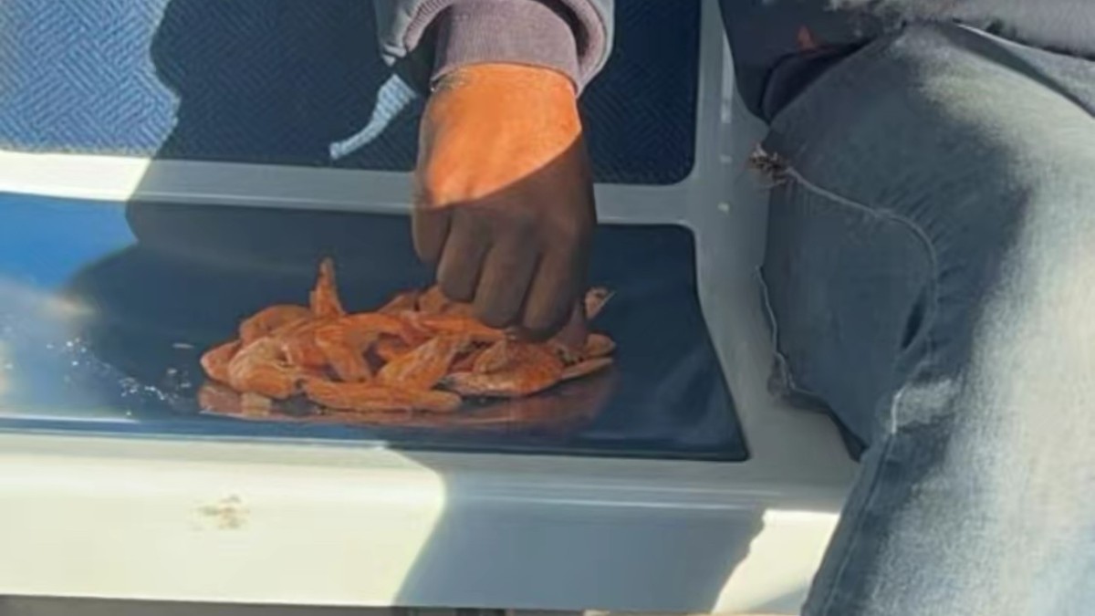 病毒式TikTok视频展示了一名男子在芝加哥地铁座位上吃虾，芝加哥交通局的完美回应在吸引眼球。