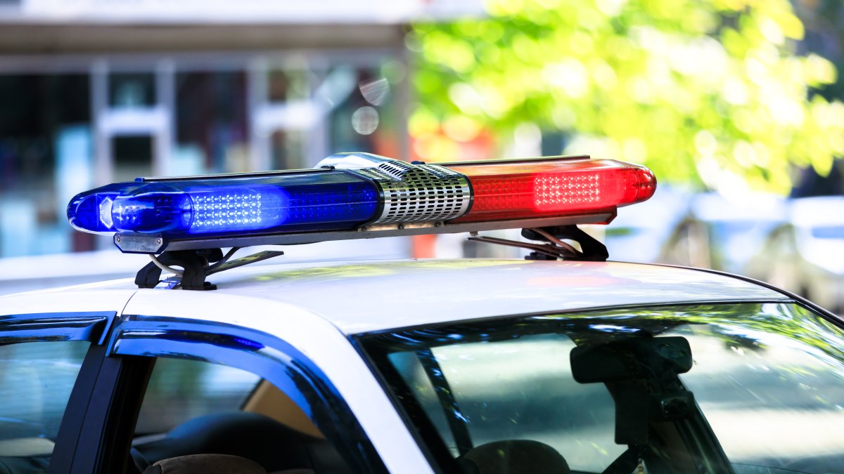 Burglars shout &lsquo;fire to lure homeowners from their home in Chicago suburb: Police