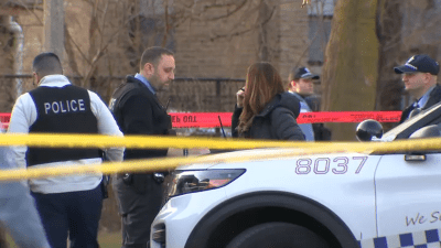 Woman killed, 3 others hurt in shooting at park on Chicago's Far North Side