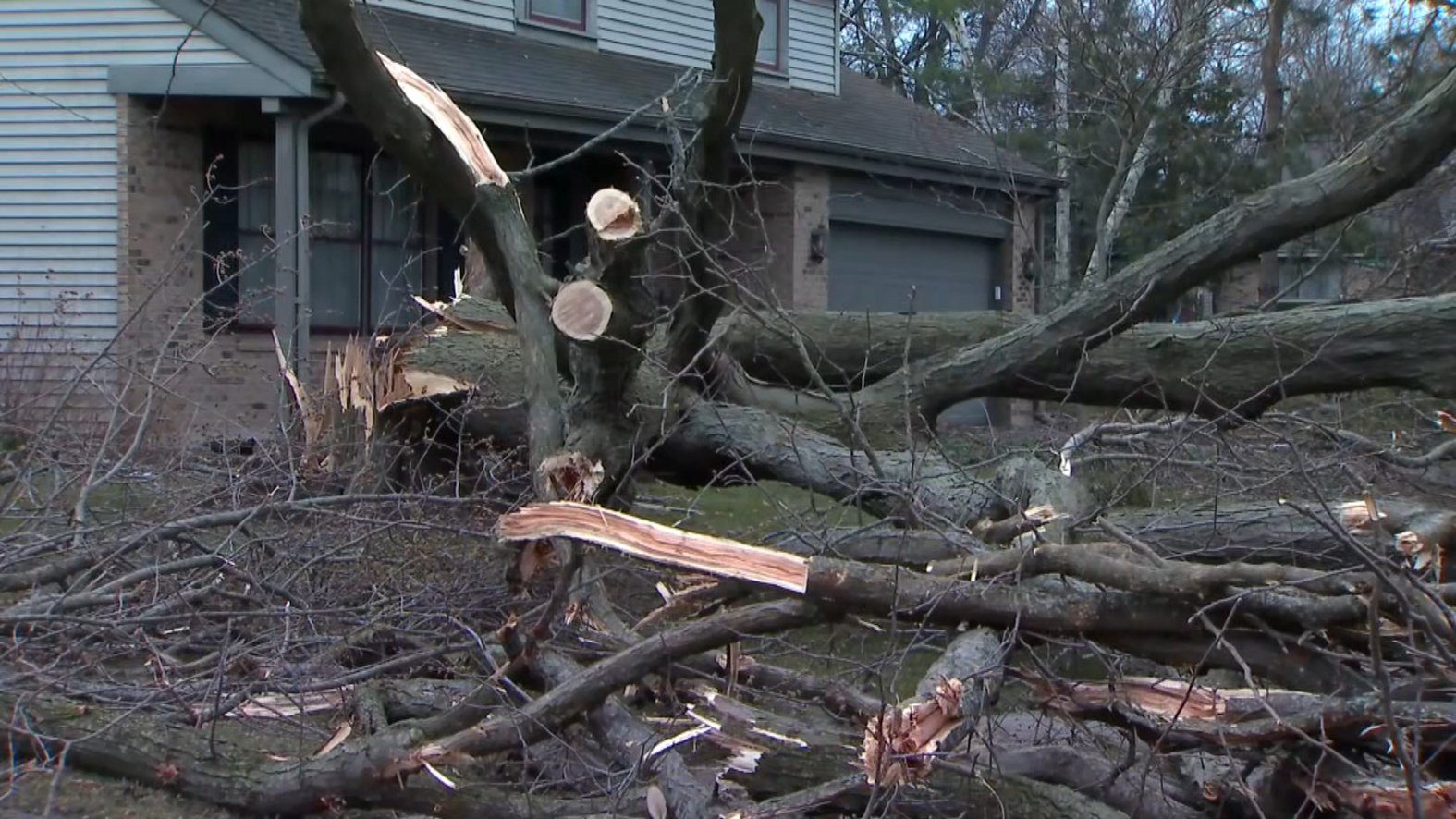 Chicago Trees Exploding Chicago-area storm damage: Northwest suburbs see major damage following ...