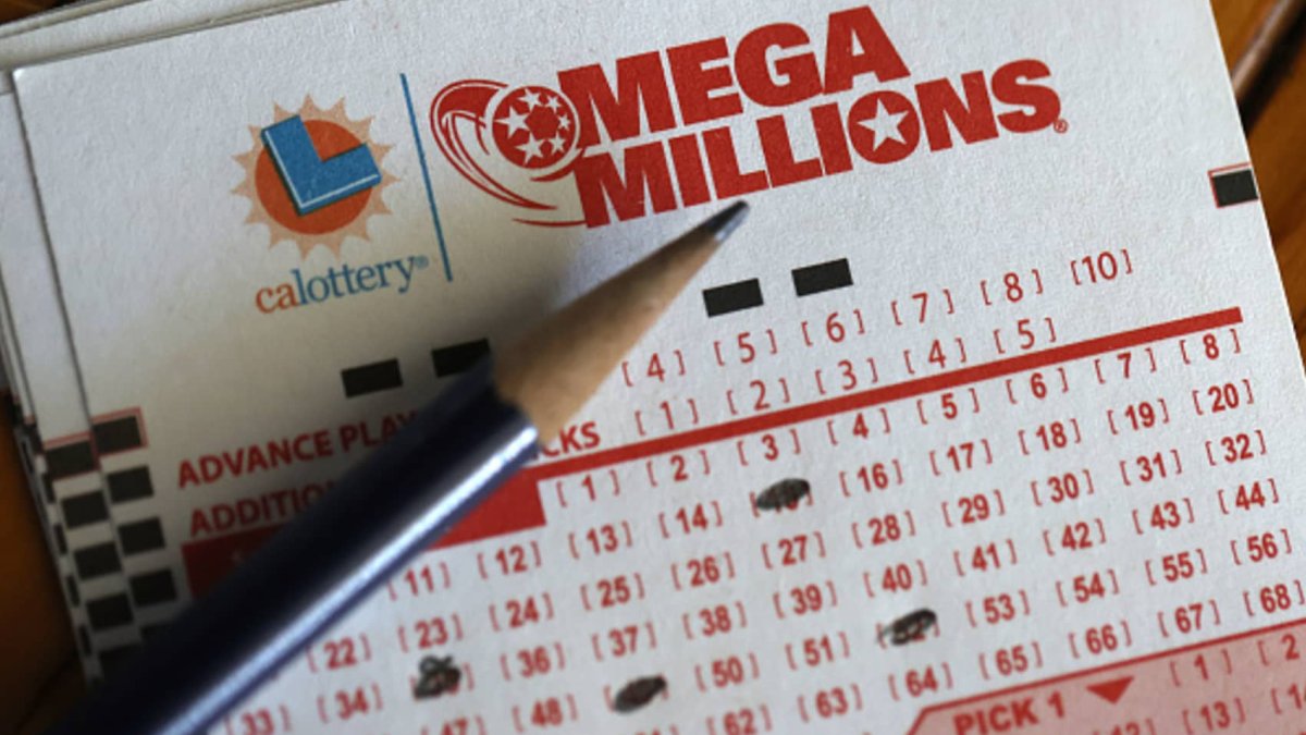 $1 million Mega Millions winner in suburban Bartlett shares incredible plan for prize