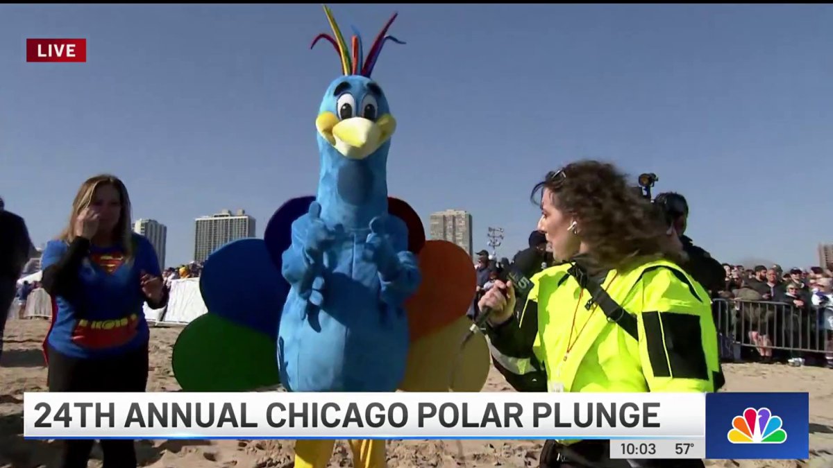 Annual Polar Plunge into Lake Michigan -- Chicago Tribune