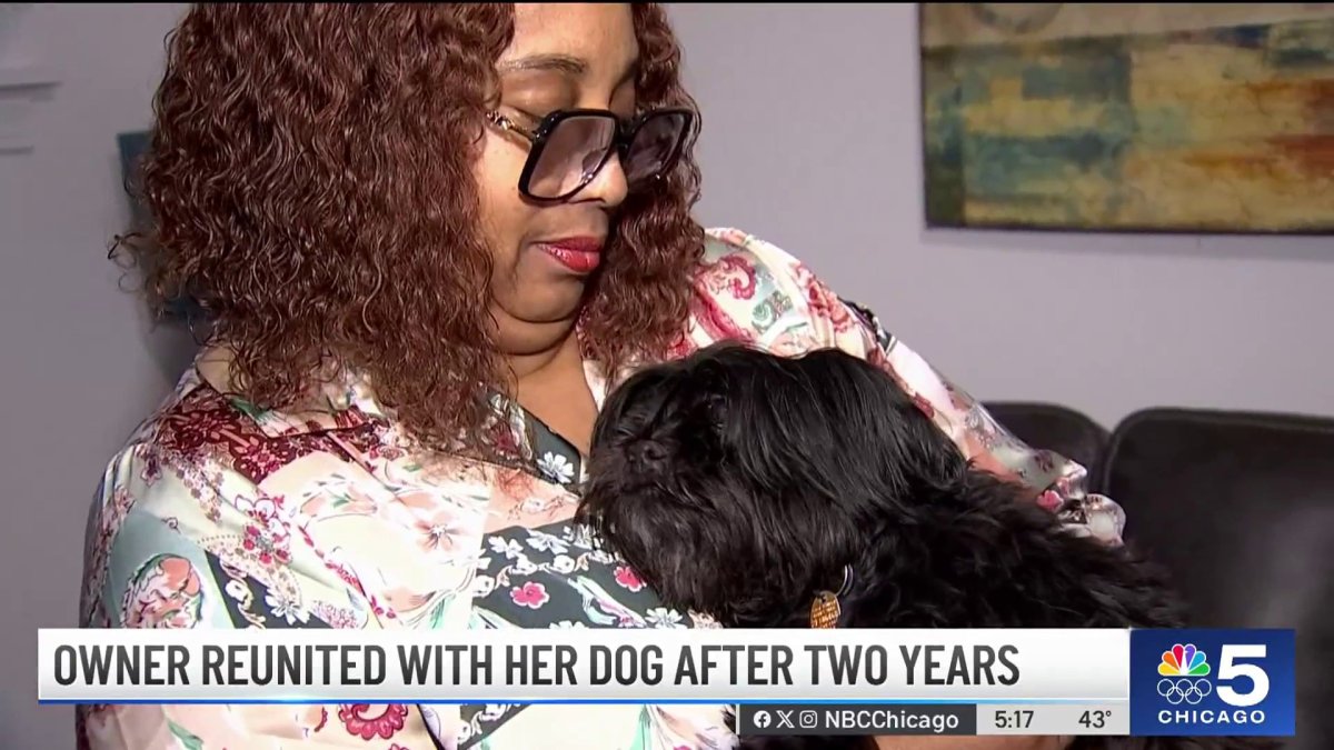 Chicago woman reunited with her lost dog 2 years after she went missing ...