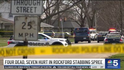 Rockford stabbing suspect in custody
