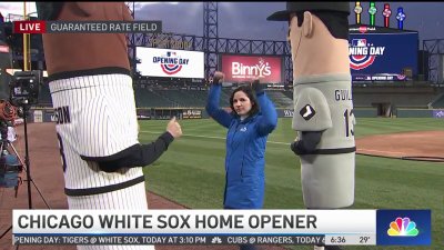 Watch: NBC Chicago's Sandra Torres races with White Sox mascot