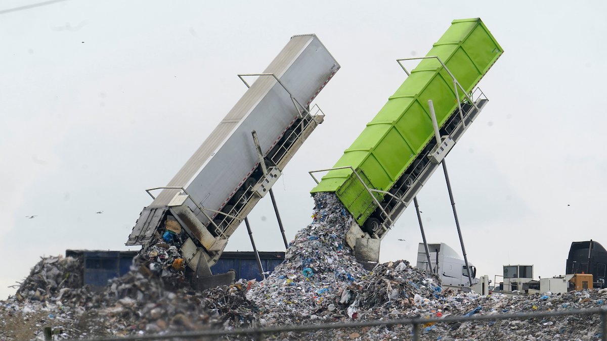 UN report says 19% of food is wasted – NBC Chicago - Vimarsana News