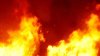 More than 1 million chickens dead after massive southern Illinois fire