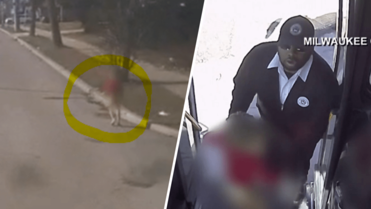 Dramatic video shows Milwaukee bus driver rescuing young child from oncoming traffic