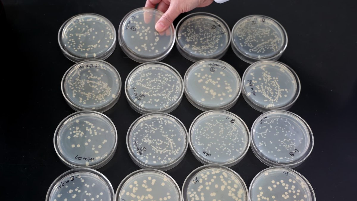 Consumer microbiome startup Seed Health is rolling its profits into an AI science moonshot - Vimarsana News