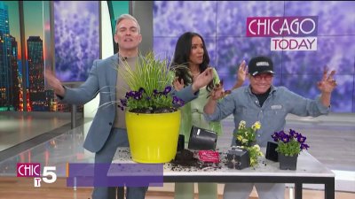 Landscape expert Christy Webber shares tips for sustainable urban gardening ahead of Earth Day