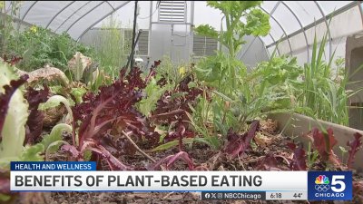 From health to the environment, a look into the benefits of plant-based eating