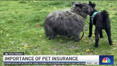 Tech Trends: Pet Insurance, what you need to know