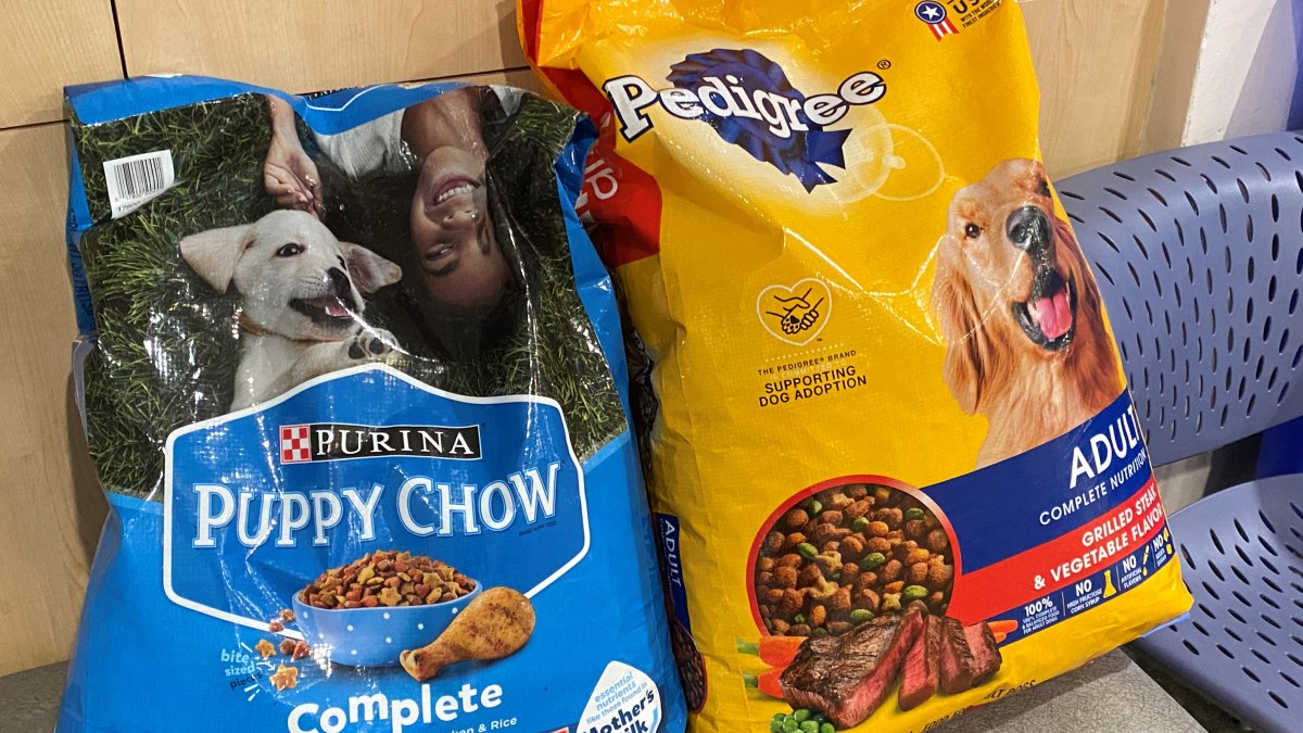 What is in your dog food? What a new survey reveals – NBC Chicago