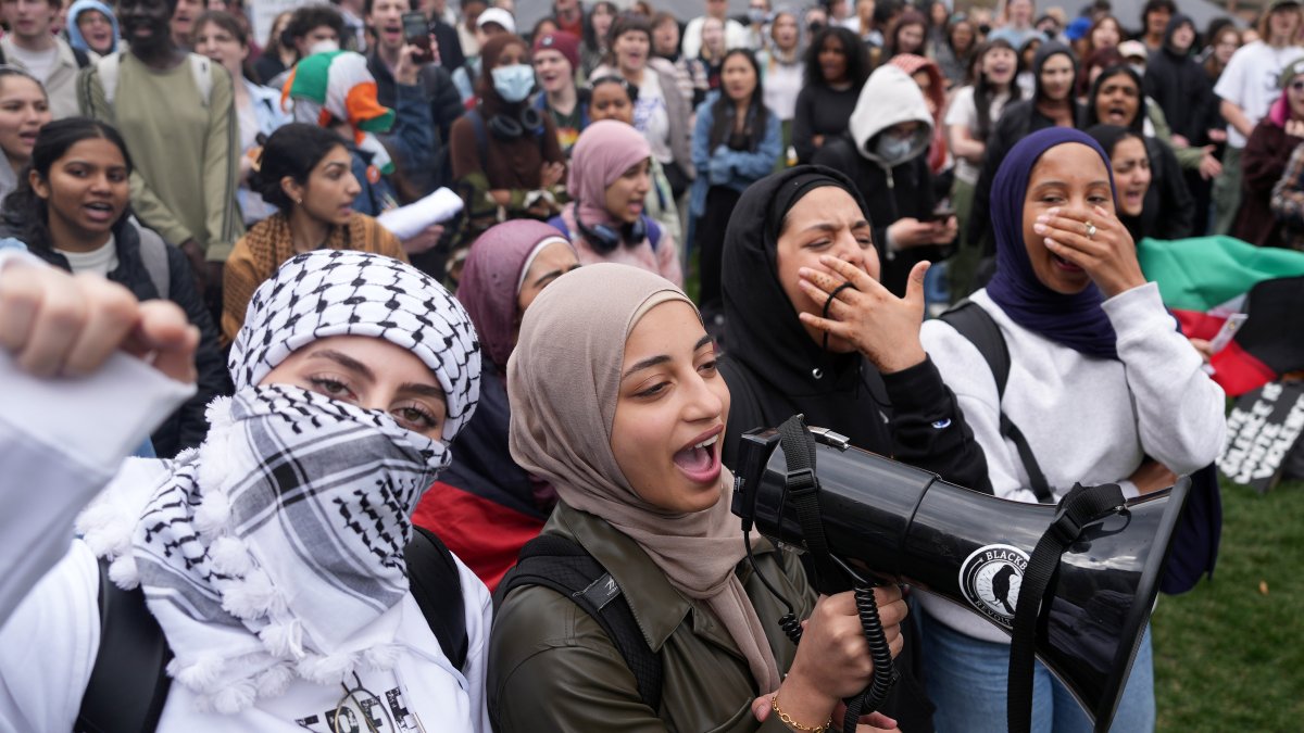 A look at the protests of the war in Gaza and US colleges – NBC Chicago