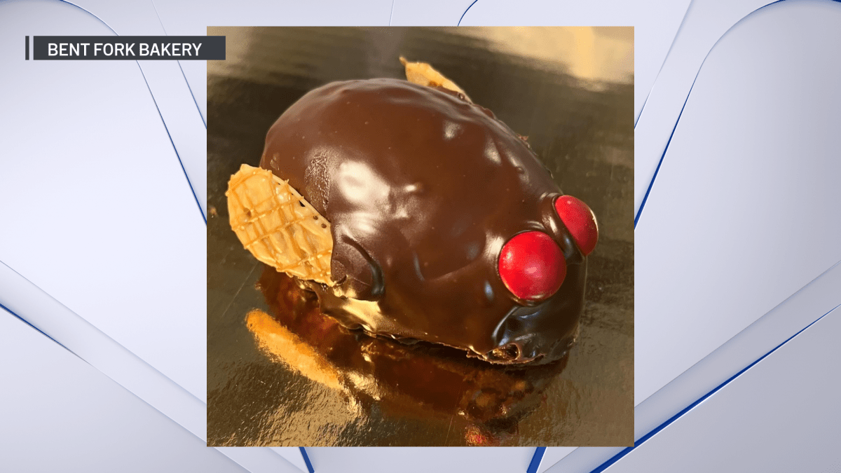 ‘Cicada cakes’ desserts offered at Bent Fork Bakery in Highwood NBC