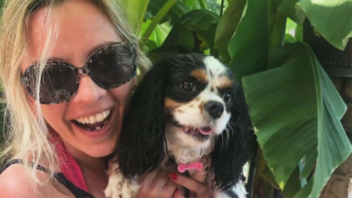 ‘Preventable’ Va. dog owner says prescription mixup killed pet NBC