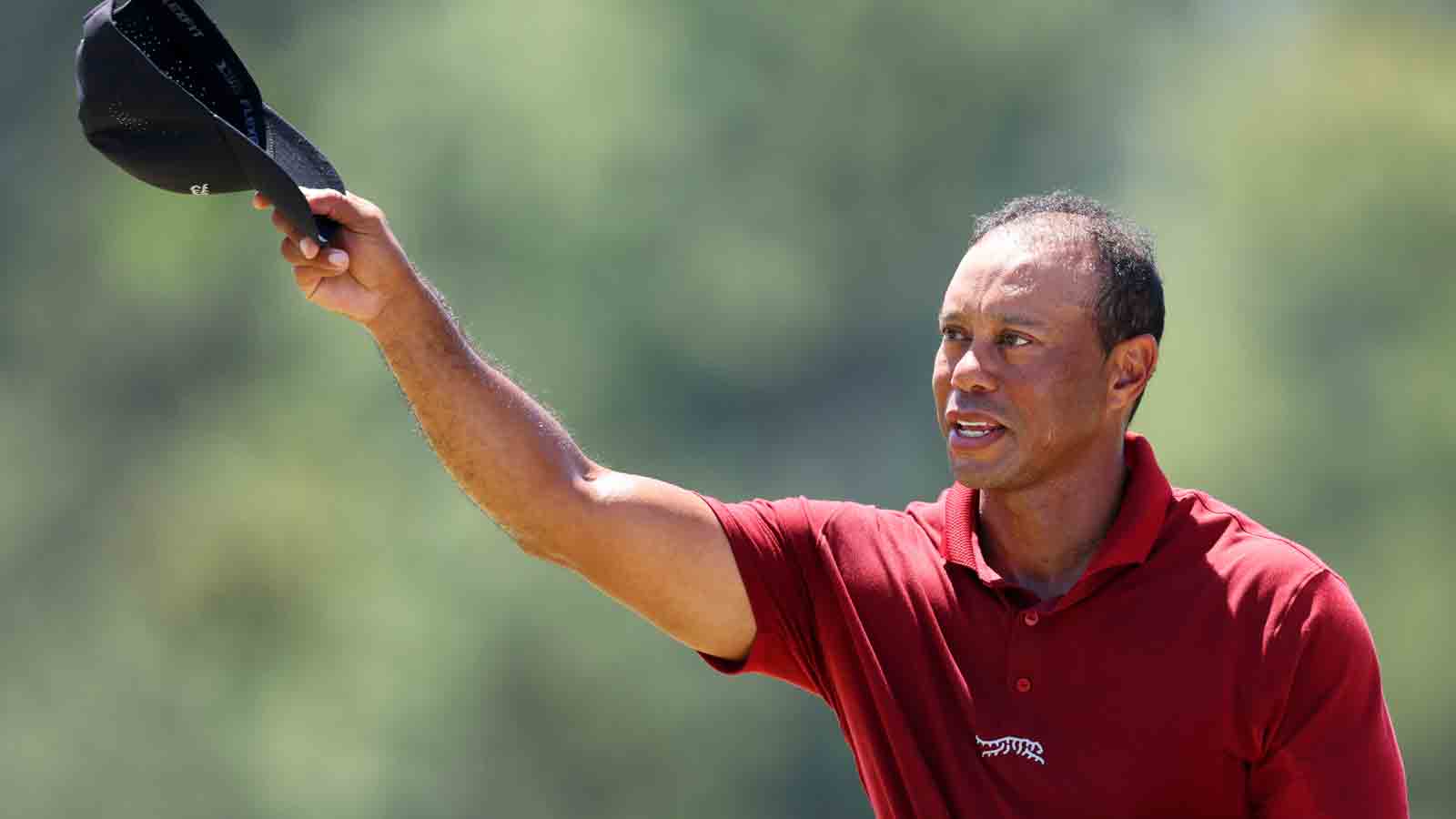Did Tiger Woods shake hands with a tree? Social media reacts to viral
image