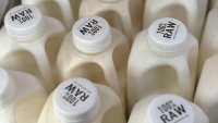 There's bird flu in US dairy cows, but raw milk drinkers aren't deterred