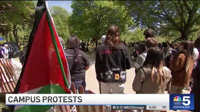 As protests over Israel-Hamas war on college campuses continue, local Jewish organizations speak out