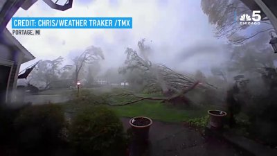 Video: Michigan tornado uproots every tree on the property