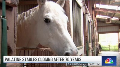 Equestrian community rallies to save Palatine Stables from closing
