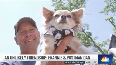 Suburban postman and chihuahua share unlikely bond over past 3 years