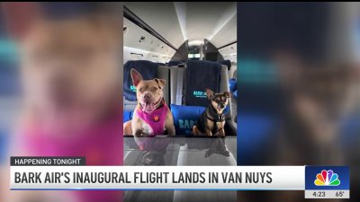 Bark Air's inaugural flight lands in Van Nuys