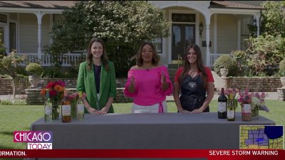Sutter Home's Build a Better Burger Contest returns for its 34th year