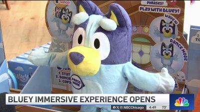 Immersive ‘Bluey' experience debuts in Chicago. See inside here