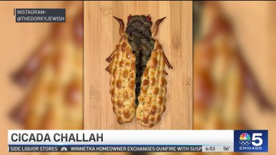 Skokie baker celebrates 200 weeks of baking with cicada-themed challah bread
